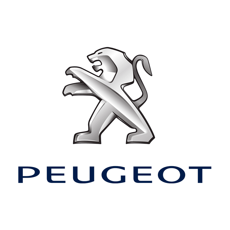 Peugeot 407 407 Confort Plus 2.0 2009, Rosselot Usados Santiago